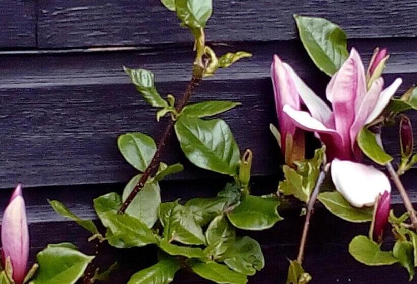 Шале Superior 1 Спальня, The Burnside