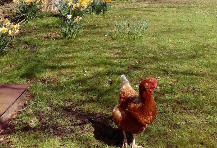 Шале 1 Спальня, The Burnside