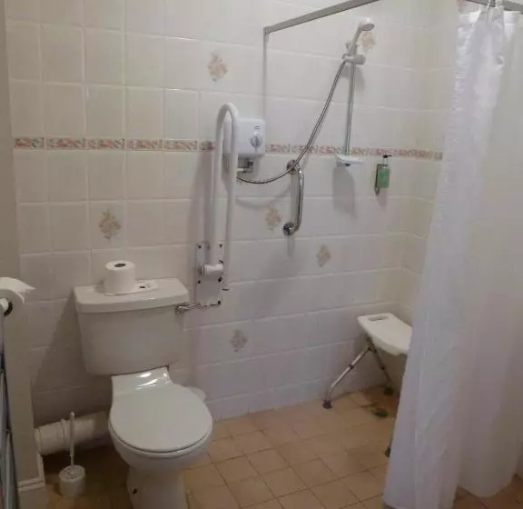 Camera Standard, The Liscawn