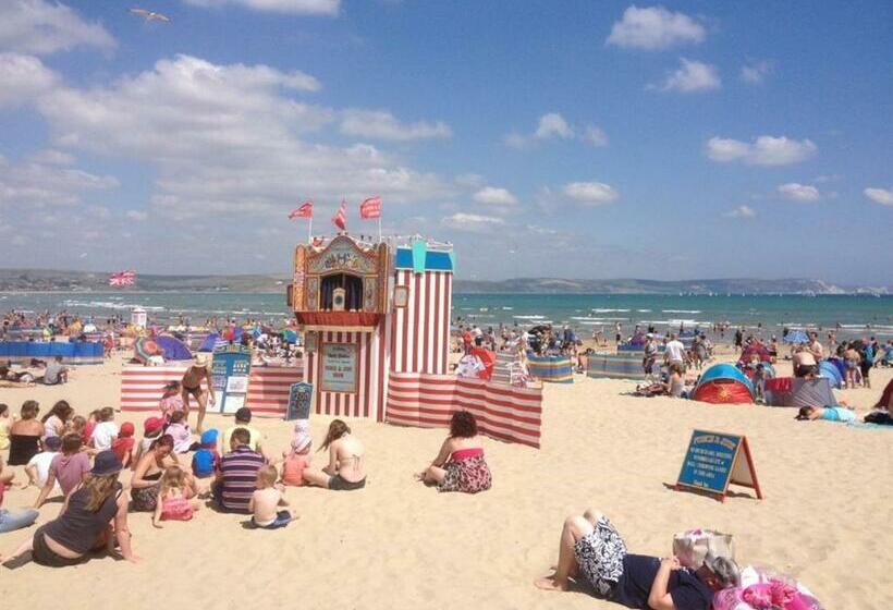 スタンダードルーム, The Rosefield