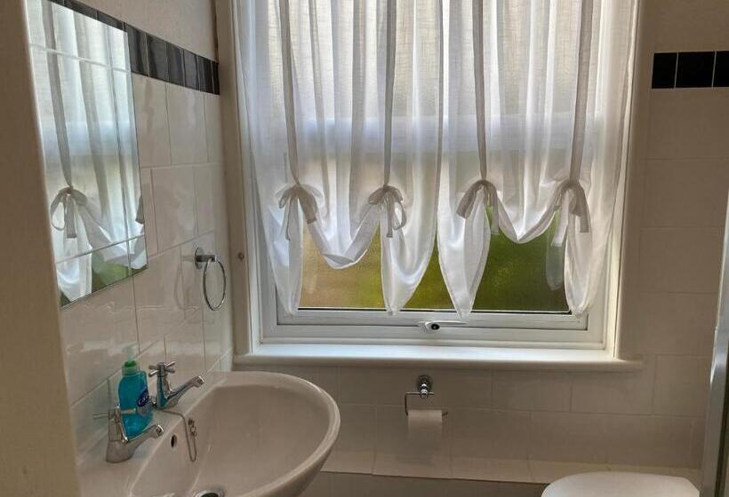 スタンダードルーム, The Rosefield