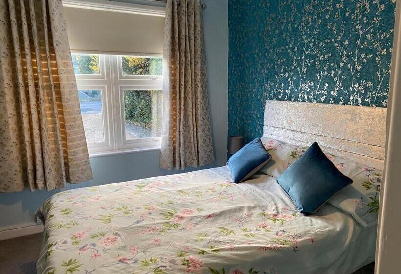 スタンダードルーム, The Rosefield