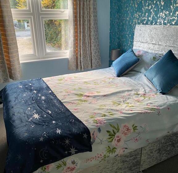 スタンダードルーム, The Rosefield