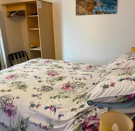 スタンダードルーム, The Rosefield