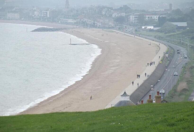 スタンダードルーム, The Rosefield