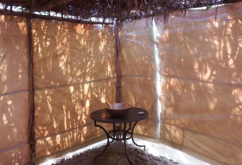 بانگلوی استاندارد, Dar Paru