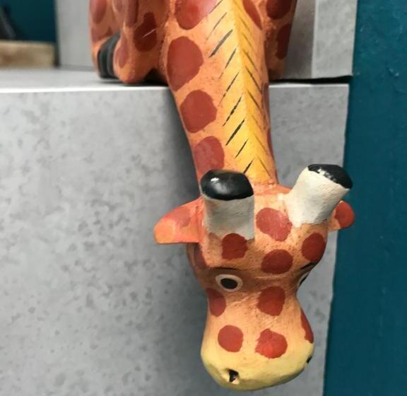 חדר אקונומי, Amarillo Guesthouse