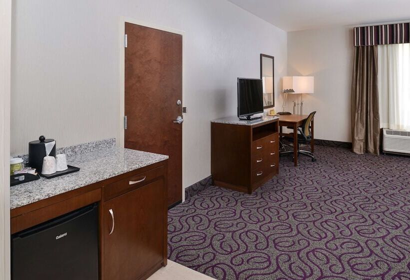 Номер Стандарт Кровать Кинг Адаптированный для Инвалидов, Hilton Garden Inn Hobbs