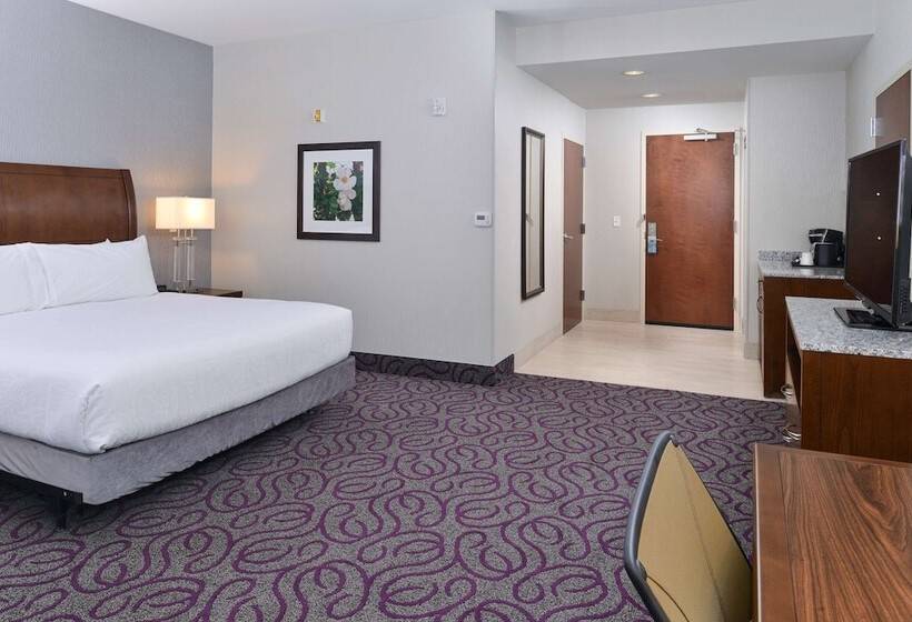 غرفة قياسية سرير كينج لذوى الإحتياجات الخاصة, Hilton Garden Inn Hobbs