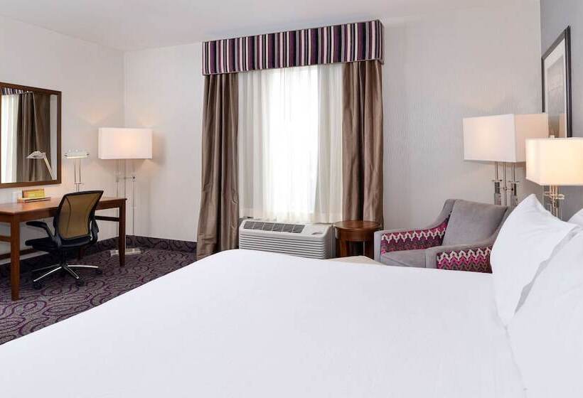 غرفة قياسية سرير كينج لذوى الإحتياجات الخاصة, Hilton Garden Inn Hobbs