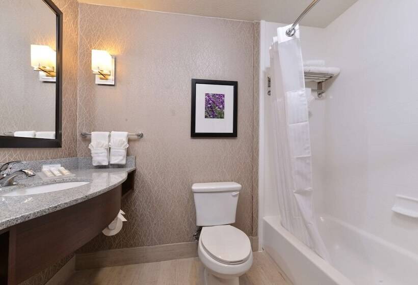 غرفة قياسية سرير كينج لذوى الإحتياجات الخاصة, Hilton Garden Inn Hobbs