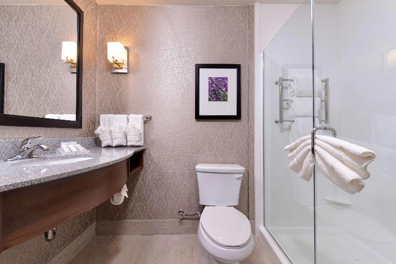 غرفة قياسية سرير كينج, Hilton Garden Inn Hobbs