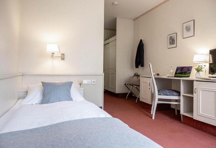 スタンダードシングルルーム, Ilmenautal Inklusive Thermeplus