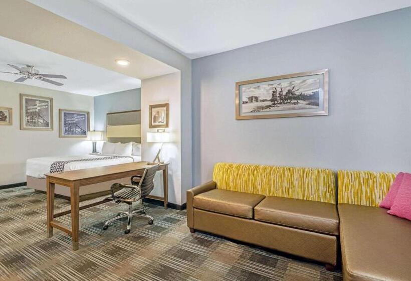 장애인을 위한 킹사이즈 침대 스탠다드 룸, La Quinta By Wyndham Guthrie