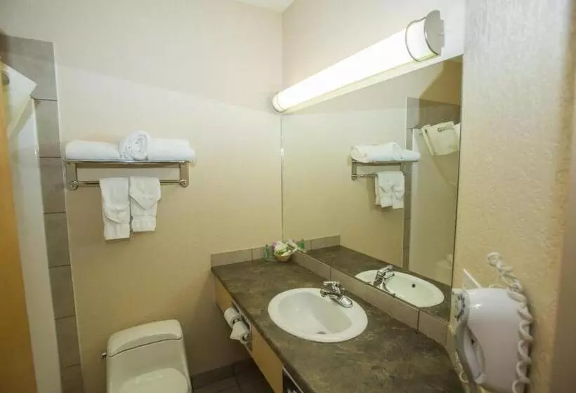 スタンダードルーム, Lakeview Inns & Suites  Chetwynd