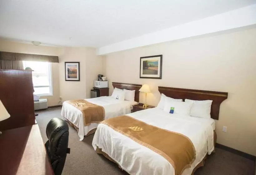 スタンダードルーム, Lakeview Inns & Suites  Chetwynd