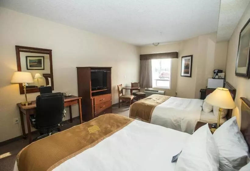 スタンダードルーム, Lakeview Inns & Suites  Chetwynd