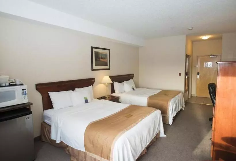 スタンダードルーム, Lakeview Inns & Suites  Chetwynd