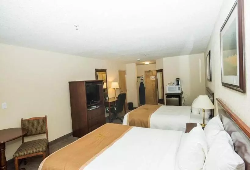 スタンダードルーム, Lakeview Inns & Suites  Chetwynd