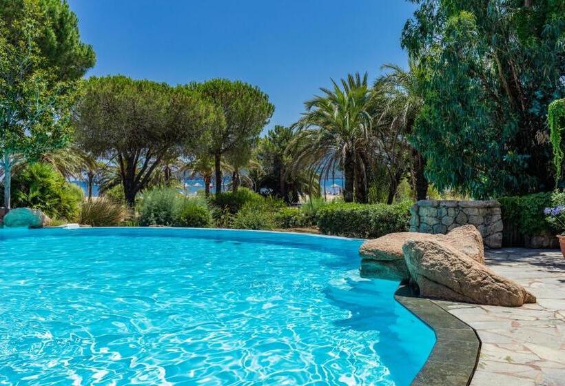 חדר סטנדרט, Marina Corsica