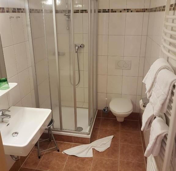 חדר סטנדרט, Pariente