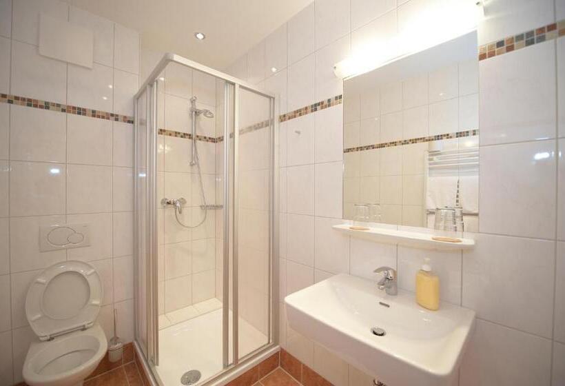 חדר סטנדרט, Pariente