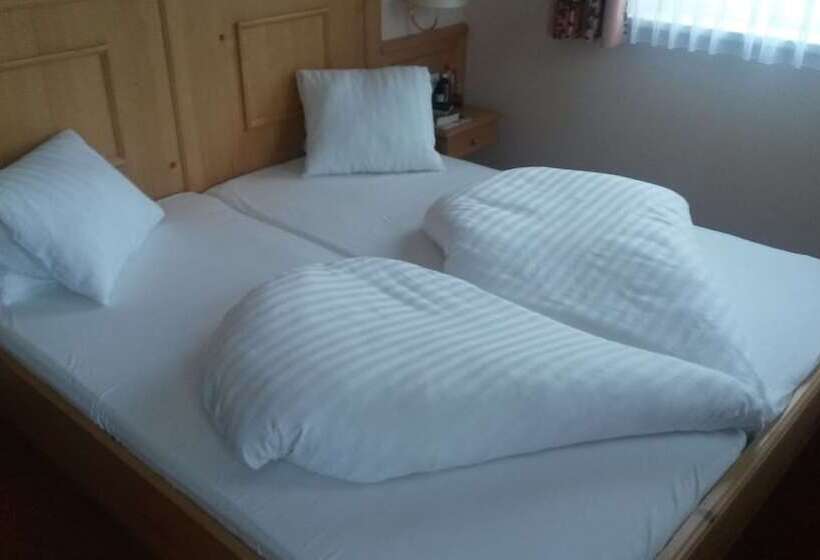 חדר סטנדרט, Pariente