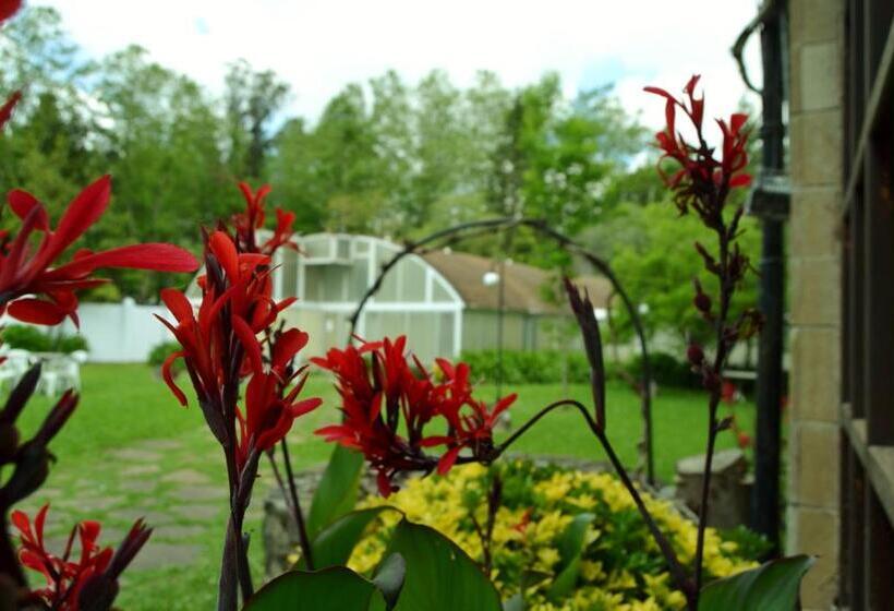 스파 이용가능한 스탠다드 룸, Termas De Liérganes