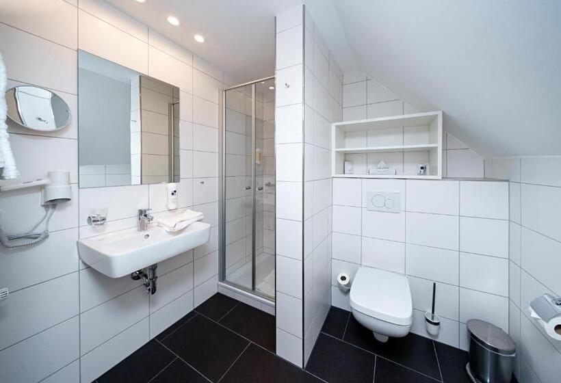 舒适型单人间, Parkhotel Pyrmont