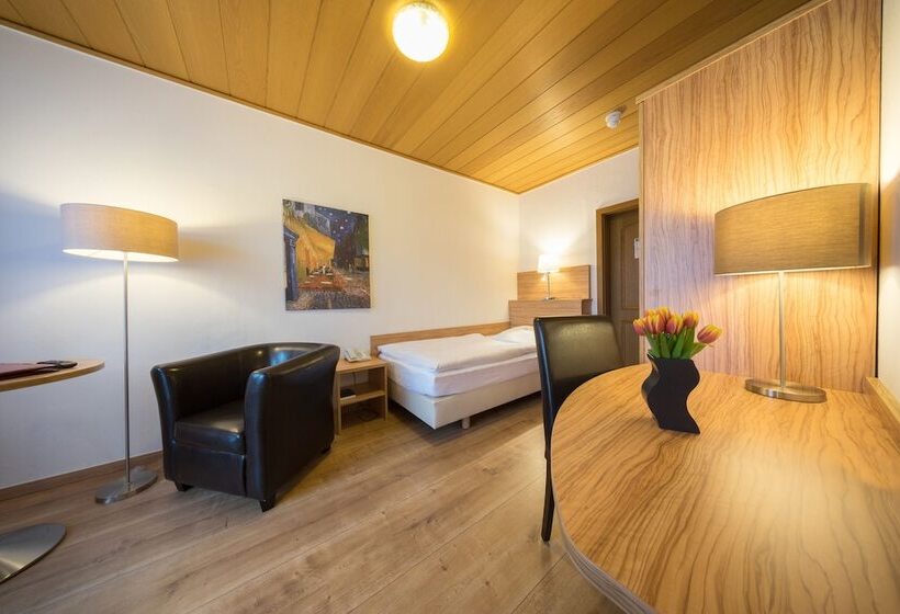 舒适型单人间, Parkhotel Pyrmont