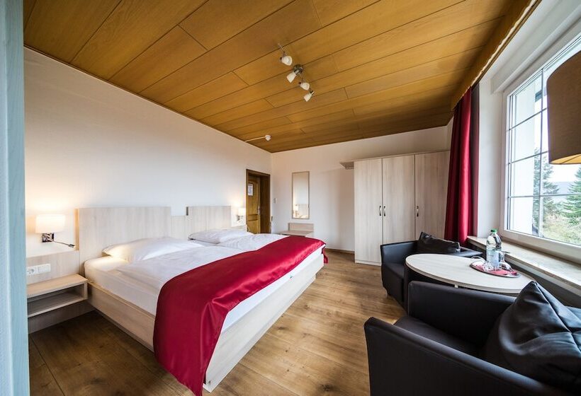 舒适型房间, Parkhotel Pyrmont