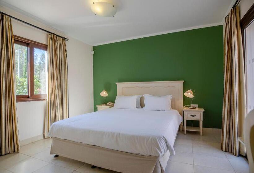 דירת חדר, Aliathon Ionian