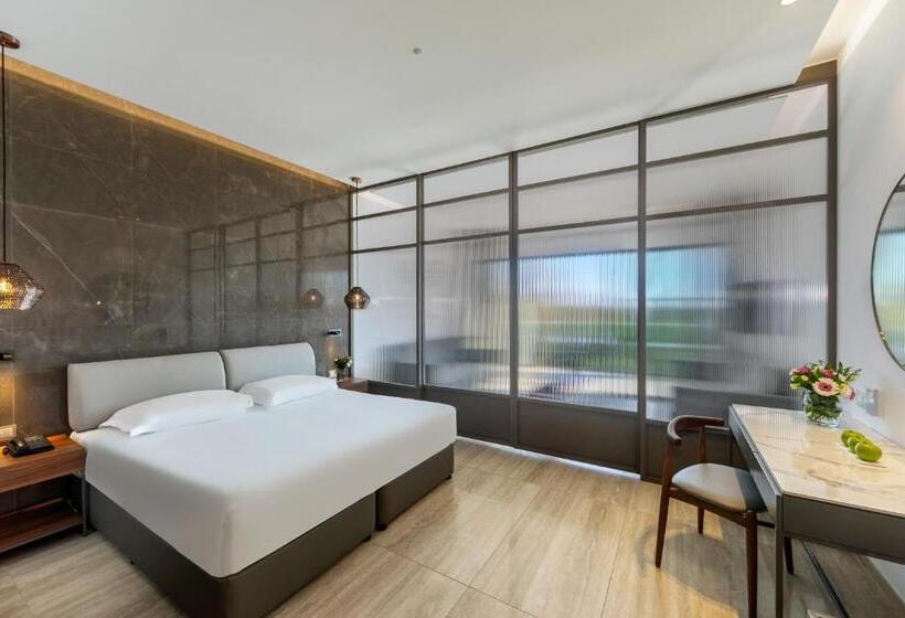 חדר משפתחתי סופריור, Aliathon Ionian