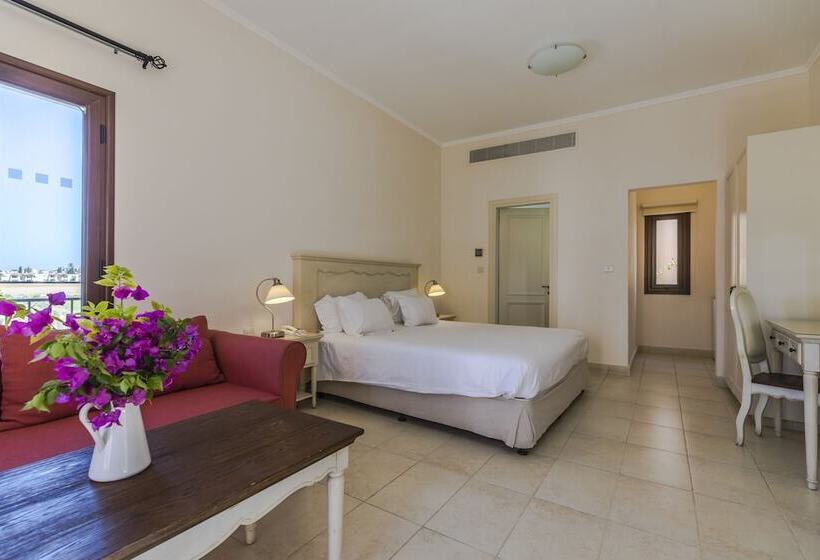 חדר סטודיו סטנדרד, Aliathon Ionian