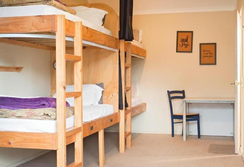 سرير فى غرفة مشتركه, The Prince Albert Backpackers & Bar