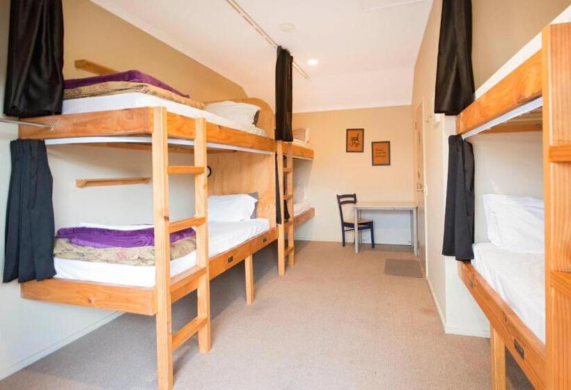 سرير فى غرفة مشتركه, The Prince Albert Backpackers & Bar