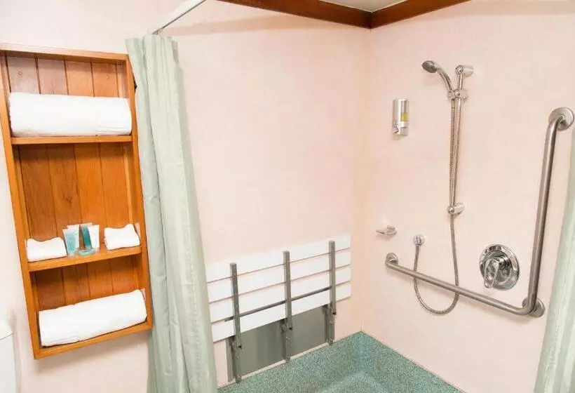 Standard-studio, Aspen Lodge Motel