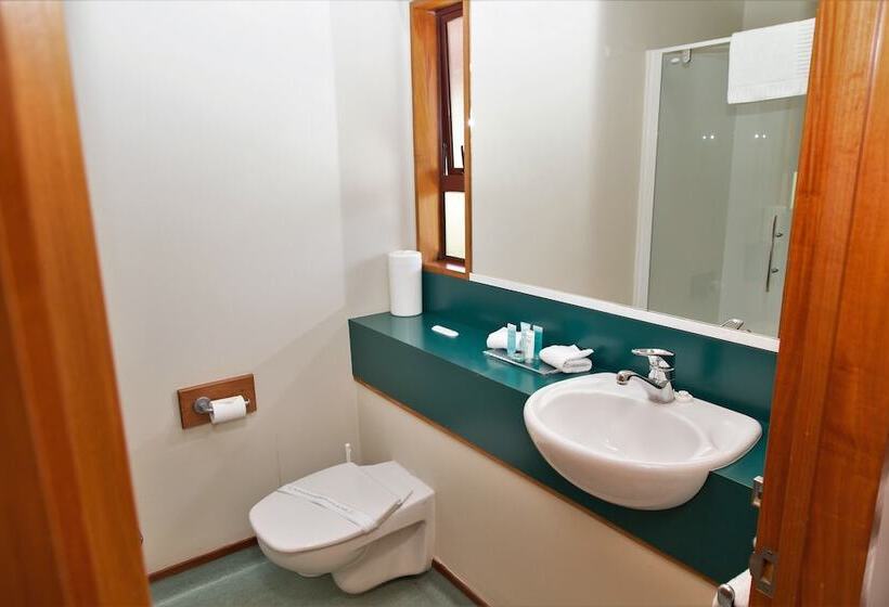 침실 1개 디럭스 아파트, Aspen Lodge Motel