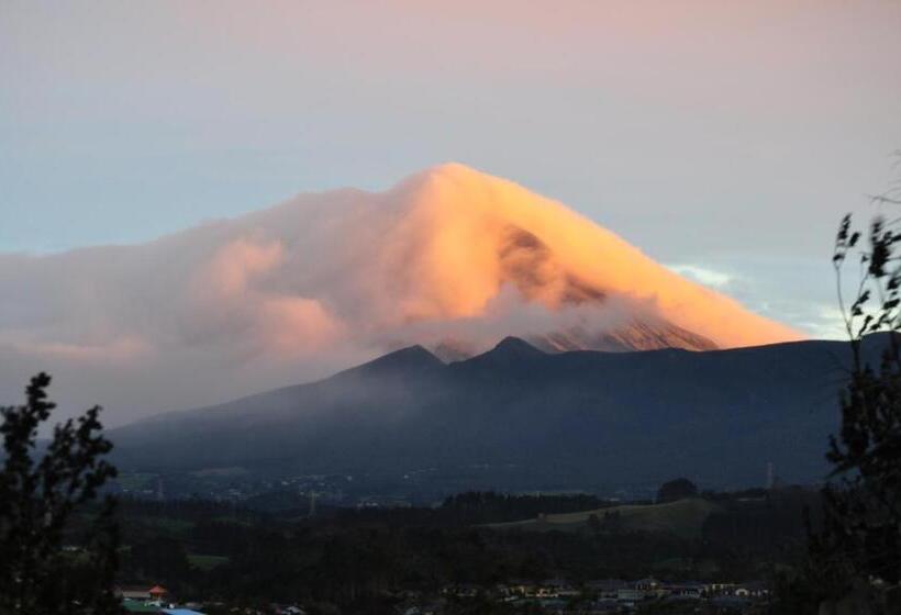 اتاق استاندارد با چشمانداز دریا, 16 Havelock