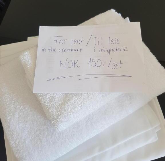 Appartamento 1 Camera da Letto, Bykle