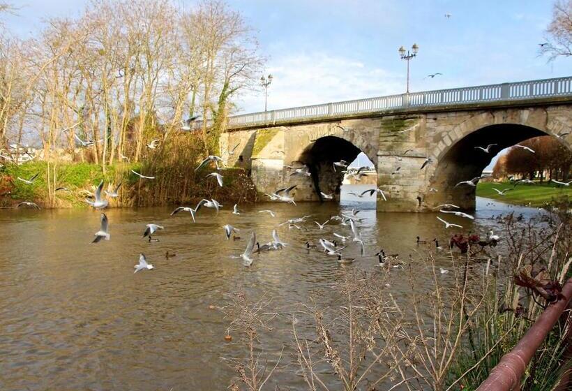 חדר דלוקס, L Esturgeon