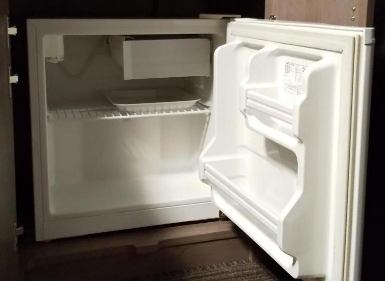 Standard Room Lake View, Route Inn Kawaguchiko