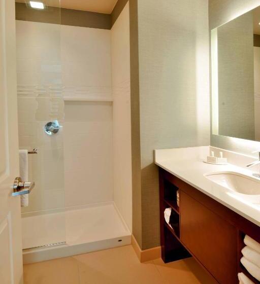 带大床的标准工作室, Residence Inn By Marriott Omaha Aksarben Village