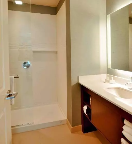 Standard-studio King-vuode, Residence Inn By Marriott Omaha Aksarben Village