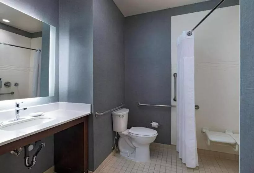 Standard-studio King-vuode, Residence Inn By Marriott Omaha Aksarben Village