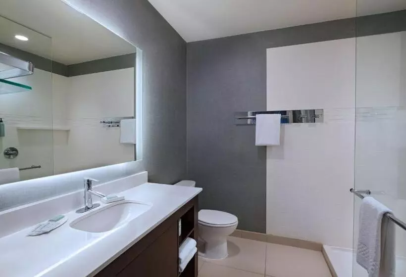 Standard-studio King-vuode, Residence Inn By Marriott Omaha Aksarben Village