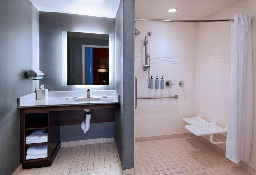 带大床的套房, Residence Inn By Marriott Omaha Aksarben Village