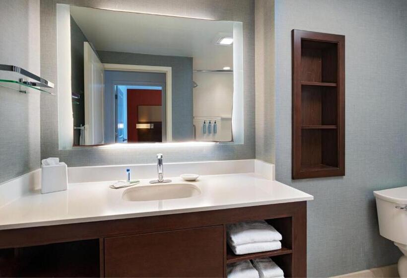 带大床的套房, Residence Inn By Marriott Omaha Aksarben Village