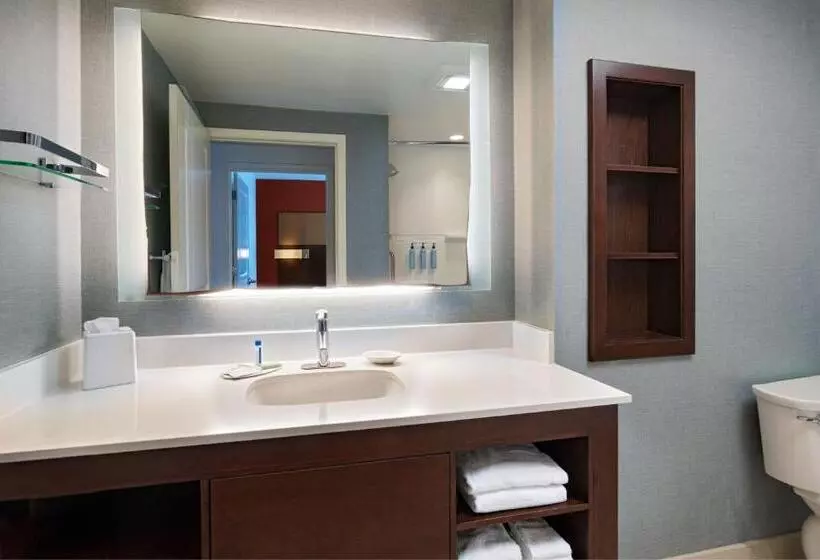 Sviitti King-vuode, Residence Inn By Marriott Omaha Aksarben Village