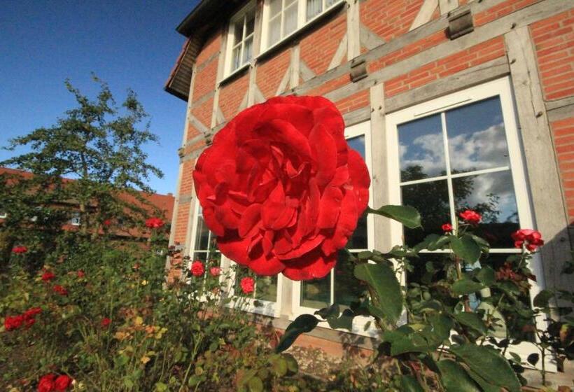 Comfort room with lake view, Flair Seehotel Zielow